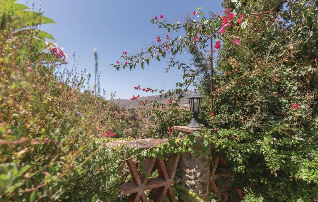 Finca Los Burros Tolatán Zewnętrze zdjęcie